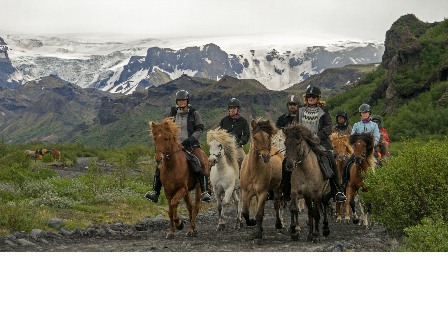 Riding with the Herd in Iceland 